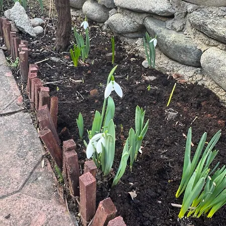 Apartamento Berta Gardens 2 Sandanski