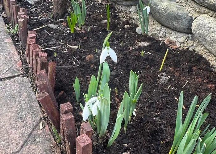 Apartamento Berta Gardens 2 Sandanski